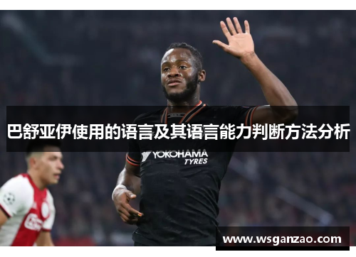 巴舒亚伊使用的语言及其语言能力判断方法分析 巴舒亚伊使用的语言及其语言能力判断方法分析